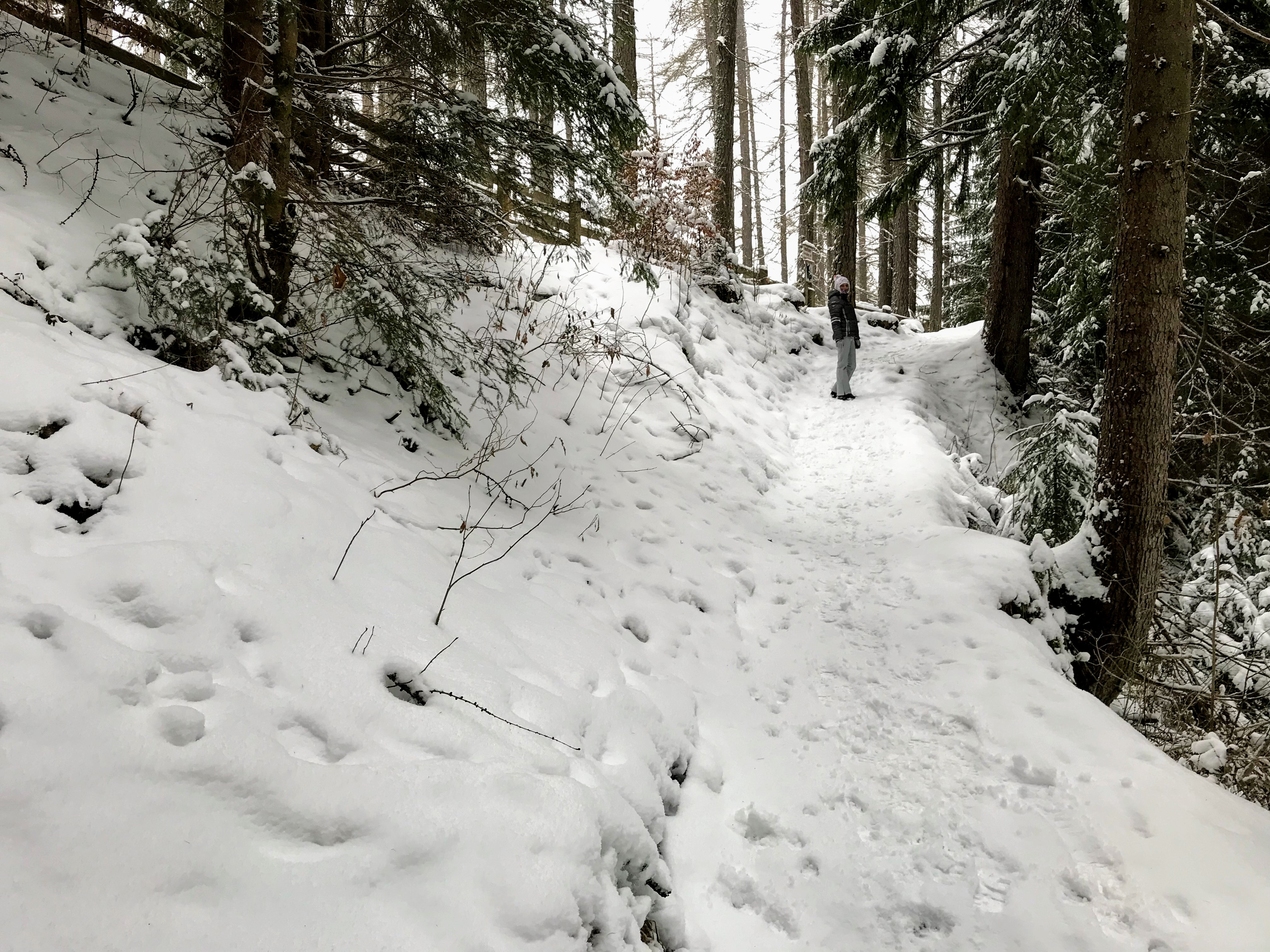 Winterwandeling in Ehrwald