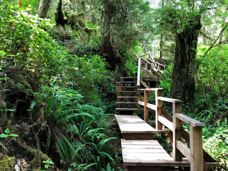 Rainforest Trail Tofino - Loop A - Frederik Maesen