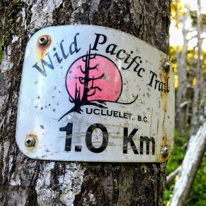 Wild Pacific Trail B.C. Ucluelet 1.0 km